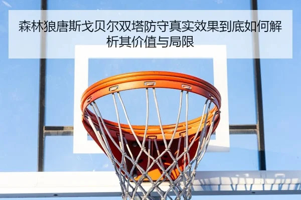 森林狼唐斯戈贝尔双塔防守真实效果到底如何解析其价值与局限（leyu）